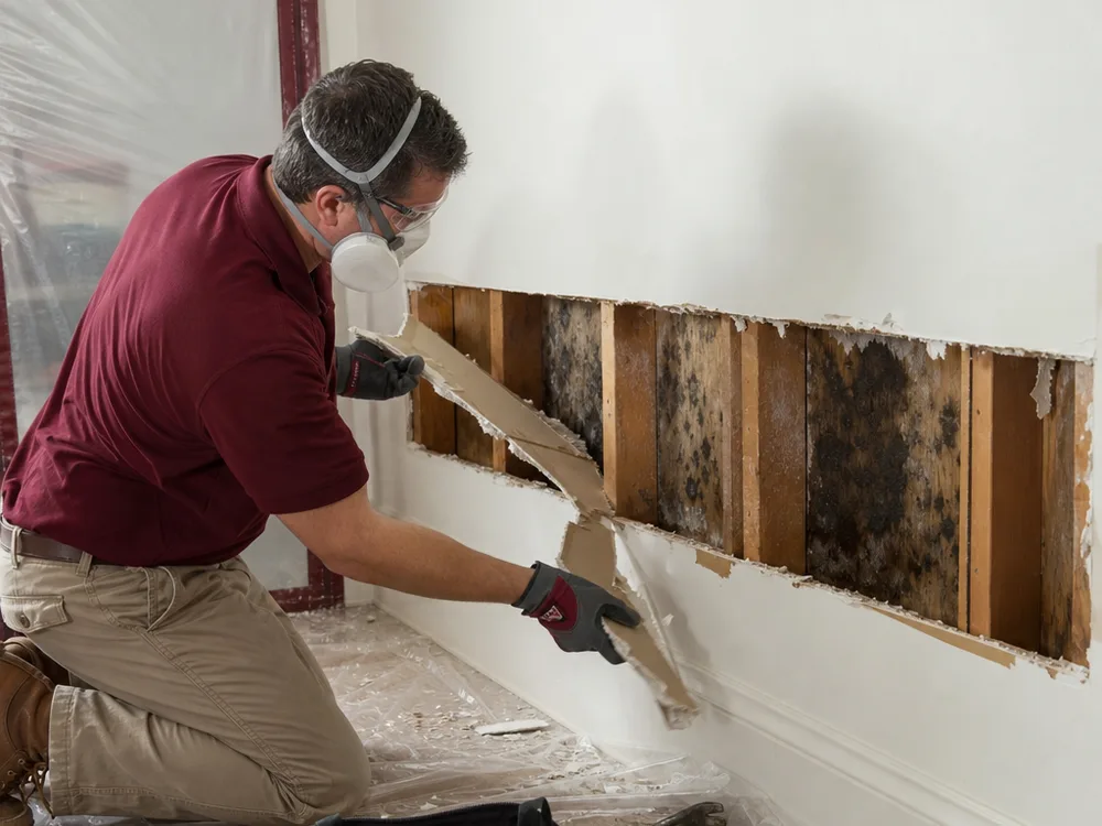 Contractor removing water-damaged drywall to expose framing for cleaning