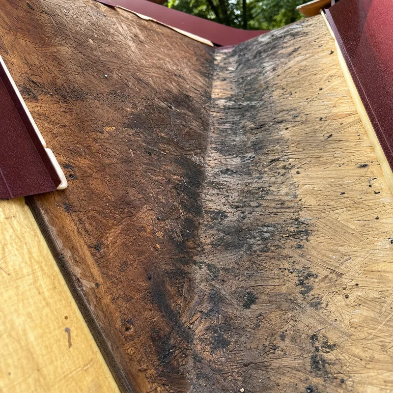 Close-up of mold staining and moisture patterning on attic roof sheathing near a roof valley