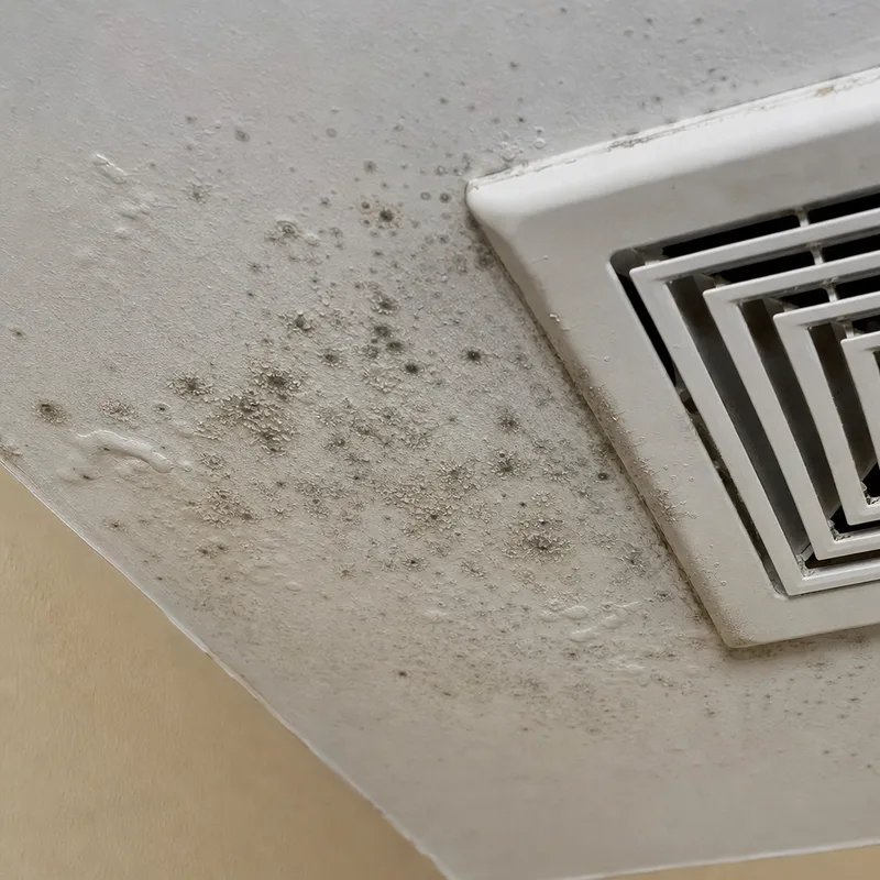 Condensation-related mold spotting and bubbling paint on a bathroom ceiling near a vent fan grille